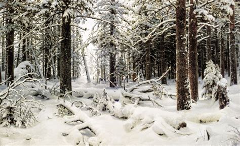 Ivan Shishkin /Ива́н Ши́шкин | Tutt'Art@ | Pittura • Scultura • Poesia ...