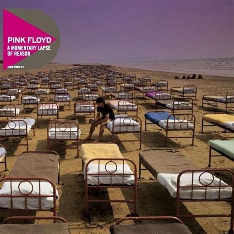 Muzica Pink Floyd A Momentary Lapse Of Reason 180 Gr Audiophile