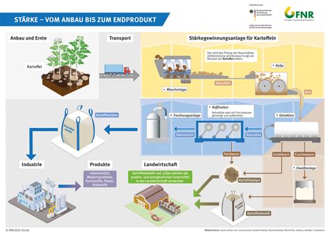 Stärke Vom Anbau bis zum Endprodukt