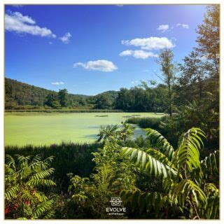 Evolve Esthetique – Facials, Waxing, Brows in Wilmington, DE