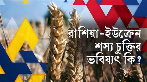 রাশিয়া ইউক্রেন শস্য চুক্তির ভবিষ্যৎ কি Bangla Business News