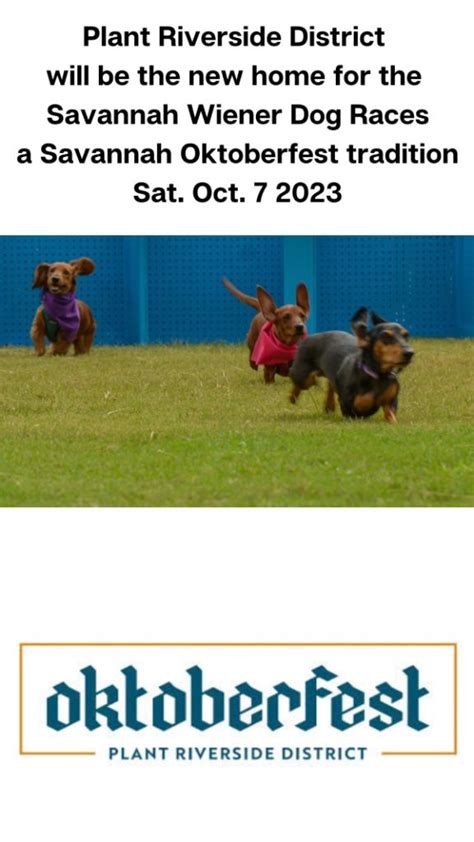 Southern Mamas Blog Archive Fall Festivals 2023 Savannah Wiener