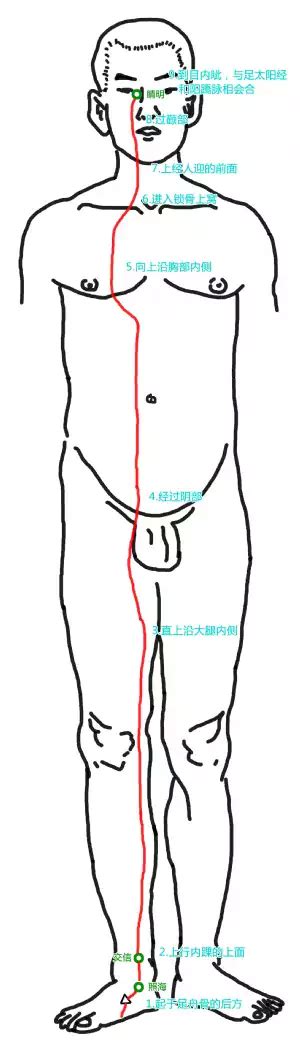 人体奇经八脉阴跷脉循行路线图 健康养生知识