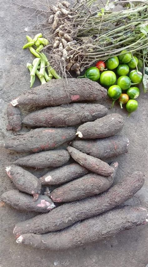 There Are Many Vegetables On The Ground Next To Each Other