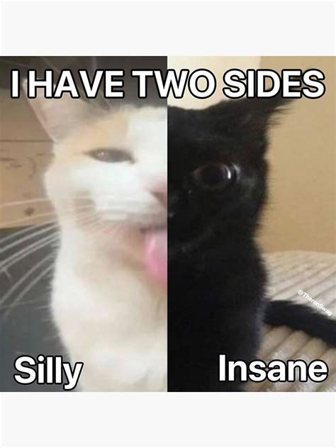 "I have two sides silly insane cat meme" Sticker for Sale by ...