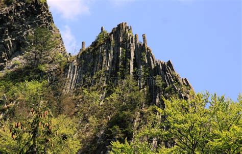 Colonne Basaltiche Tagliuzzate Nella Foresta Fotografia Stock