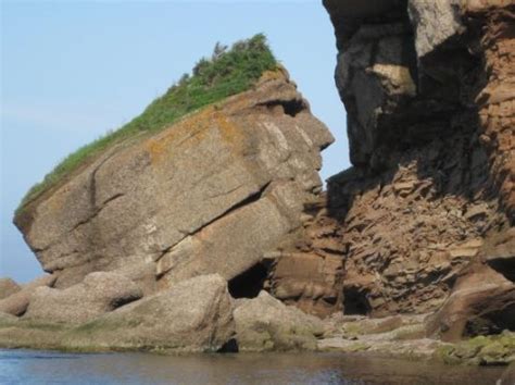 Gaspe Tourism: Best of Gaspe, Quebec - TripAdvisor