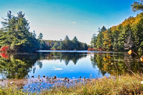 Lake Autumn Fall Woods Connecticut Stock Image - Image of connecticut, fall: 159489647