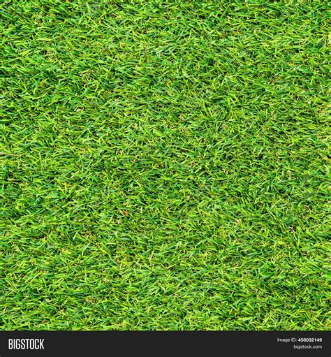 Green Grass Texture Image And Photo Free Trial Bigstock