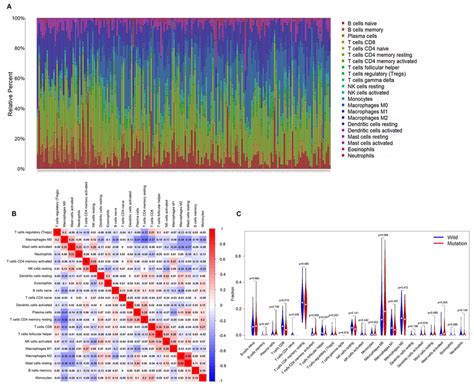 The Immune Cell Infiltration Correlated With APC Mutation In Colon