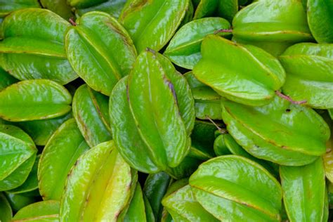 cau  stock  pictures royalty  images istock