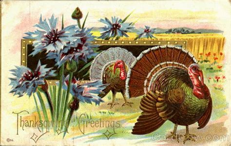Thanksgiving Greetings Turkeys