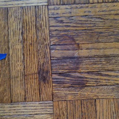 Dog Poop Stain On Wood Floor Rcleaningtips