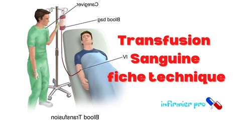 Transfusion Sanguine Fiche Technique Infirmier Pro