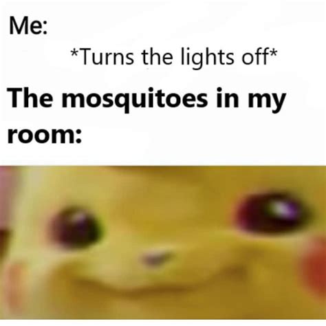 Me: *Turns the lights off* The mosquitoes in my room: - Funny