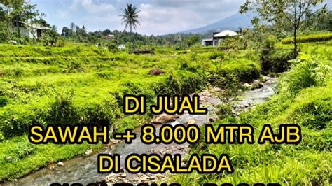 Di Jual Tanah Sawah CIGOMBONG BOGOR Jualtanah Tanahmurah Sawah