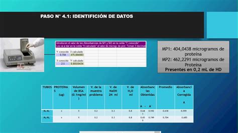 Determinaci N De La Concentraci N De Prote Nas Parte Youtube