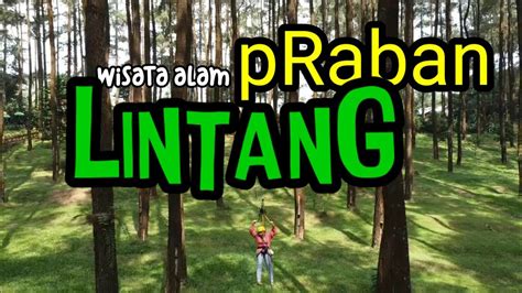 Wisata Alam Hutan Pinus PRABAN LINTANG TegaL Jawa Tengah YouTube