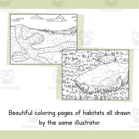 Grassland Habitat Coloring Pages Line Art Templates Biome Art Project Savannah Prairie