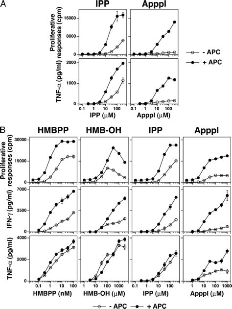 Hmb Oh Stimulation Of Vg2vd2 T Cells In The Absence Of Apcs Is Similar Download Scientific