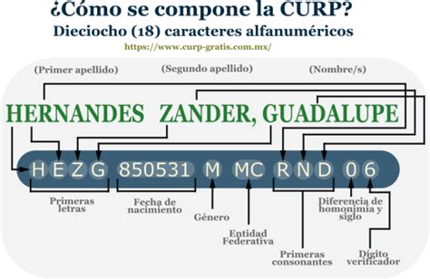 Consulta De CURP Todo Lo Que Necesitas Saber Para Obtenerla Noticias