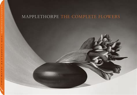 Robert Mapplethorpe Photo Book Review Juliannazhi