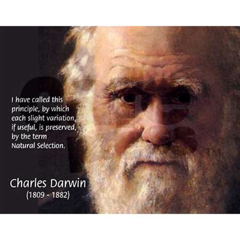 Natural Selection Charles Darwin Quotes. QuotesGram