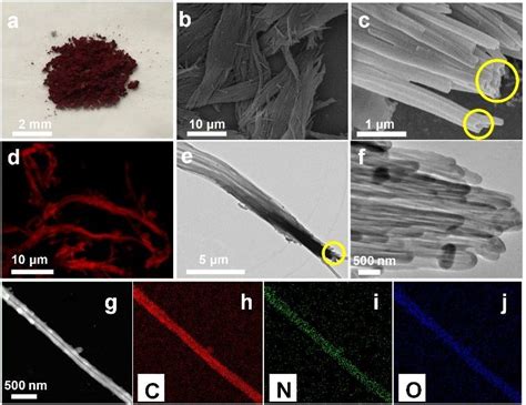 Morphology Characterization Of The Conjugated Porous Polymer