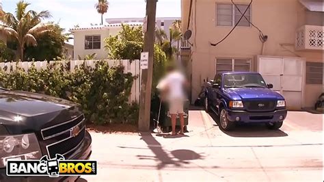 Brown Bunny Search Xvideos