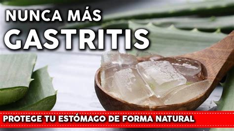 6 Plantas Para Aliviar La GASTRITIS Como Usarlas Y Cultivarlas En Tu