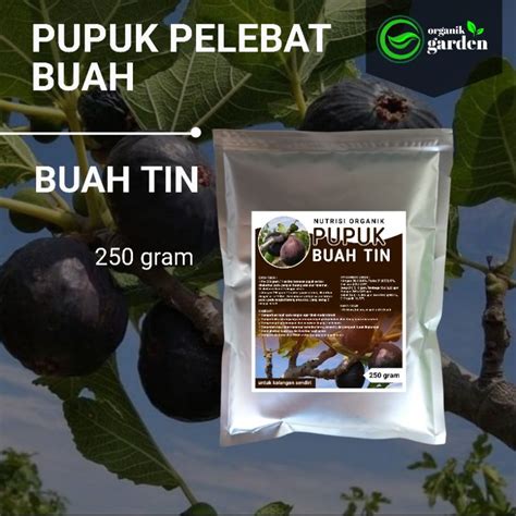 Jual Pupuk Pelebat Buah Tin Booster Melebatkan Secara Maksimal