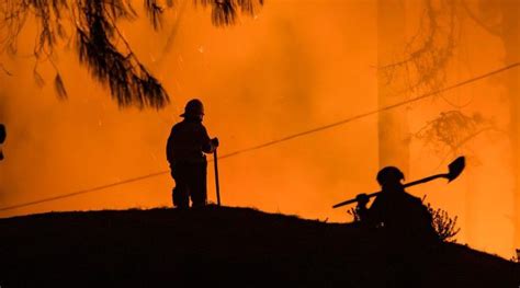 Este Es El Estado De Los Incendios Forestales Que Se Han Registrado Por