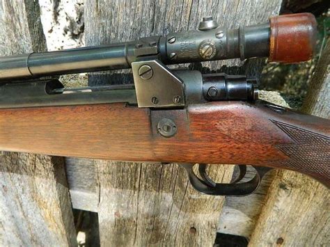 Newton Rifle In 256 Newton Now Lower Price 24hourcampfire