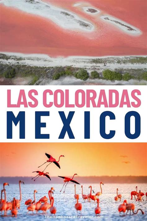 Río Lagartos Flamingos & Las Coloradas Pink Lakes [Video] [Video] | North america travel, Mexico ...