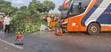 Ônibus 37 passageiros sai de rodovia e bate em árvore na BR 020