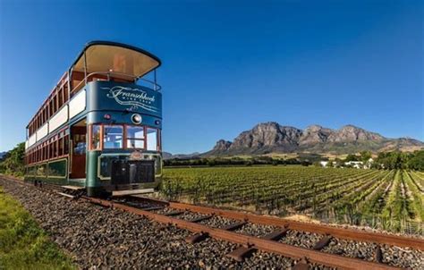 South Africa: Cape Town & Cape Wine Tasting Tour - 7 Days - Continent Tours