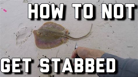 How To Safely Removing A Hook From A Stingray Surf Fishing Youtube