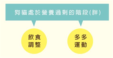 【你家寶貝有維持在健康的體態嗎？】林盈甄獸醫 Dog Being