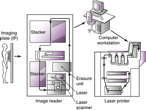 Image Receptors And Image Acquisition Radiology Key