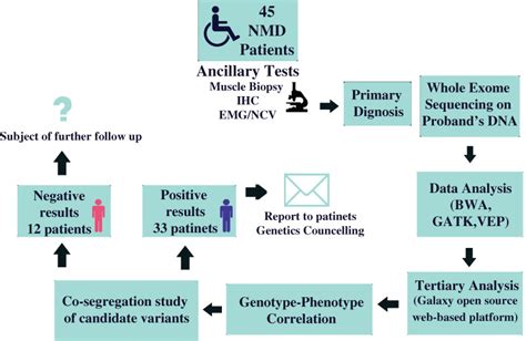 Improved Diagnostic Yield Of Neuromuscular Disorders Applying Clinical Exome Sequencing In