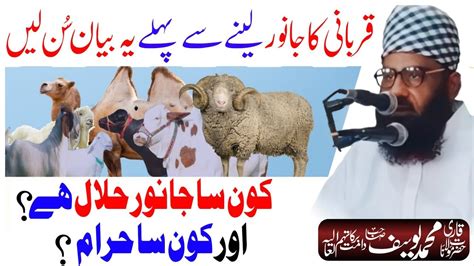 Qurbani Ka Janwar Leny Sy Phly Ye Bayan Sun Len Molana Qari Yousaf