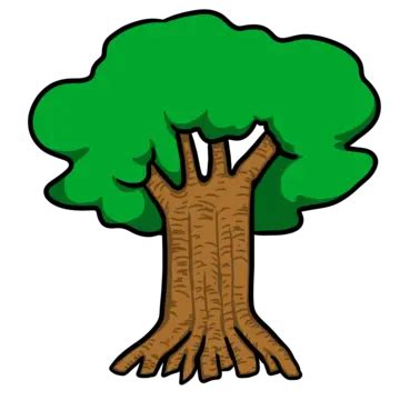 Ilustración De árbol Verde PNG dibujos árbol Ilustración árboles