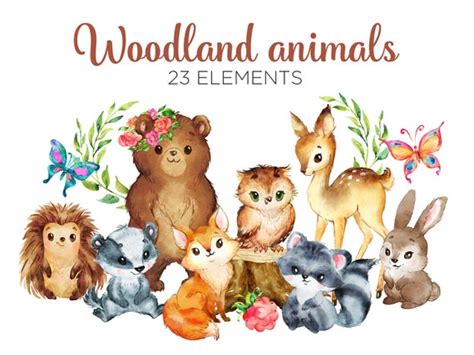 Woodland Cute Baby Animals Clipart Forest Animals Clip Art Etsy