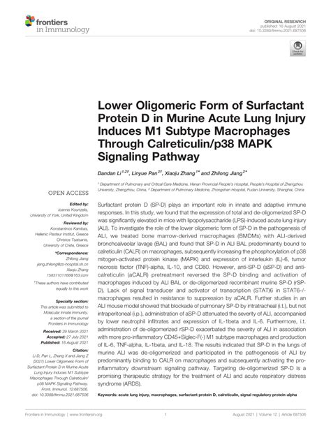 Pdf Lower Oligomeric Form Of Surfactant Protein D In Murine Acute