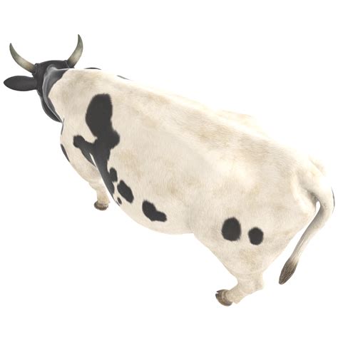 3D rendering of a cow with horns on a transparent background 26851522 PNG