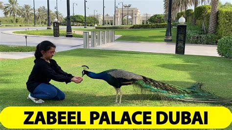 Zabeel Palace Dubai Zabeel Palace Garden Peacock Garden YouTube