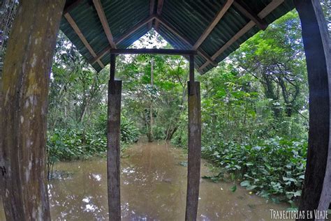 Selva Amazónica Colombiana Días De Paz Y Noches De Terror En Leticia