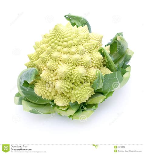 Romanesco Broccoli Close Up The Fractal Vegetable Is Known For It`s