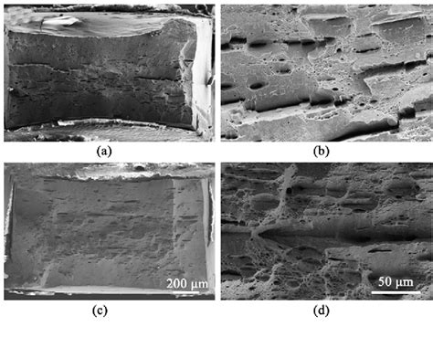 Figure 1 From Revisiting Anisotropy In The Tensile And Fracture