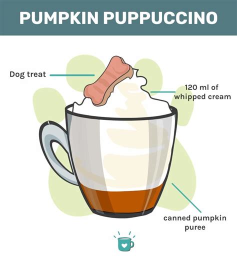 Puppuccino Recipe Learn All About Your Dogs Favorite